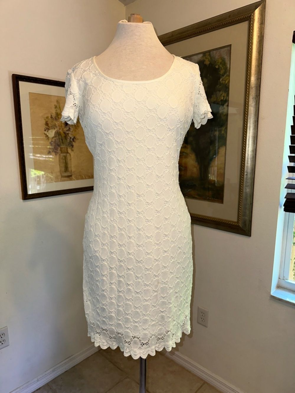 RONNI NICOLE White Lace Short Sleeve Sheath Dress Size 8